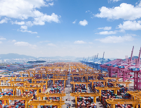 New Port Distripark Development