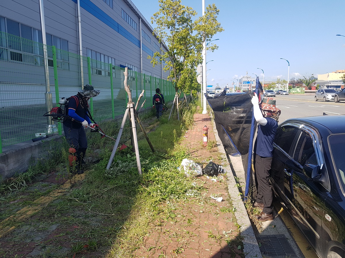 부산항만공사, 부산항신항 녹지지역 환경개선