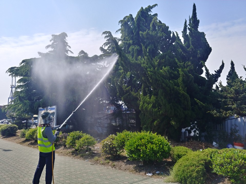 부산항만공사, 아시아매미나방 방제로 Clean 부산항 실현