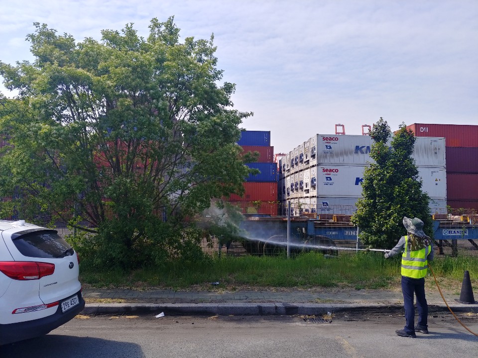 부산항만공사, 아시아매미나방 방제로 Clean 부산항 실현