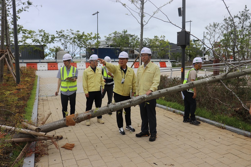 BPA 강준석 사장, 태풍 