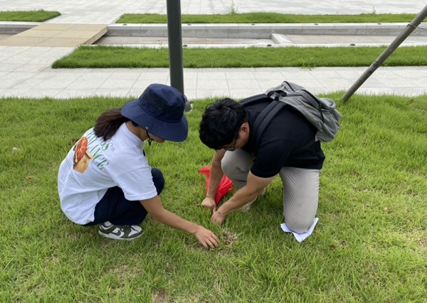 부산항만공사, 북항재개발 친수공원 생육환경 개선 추진