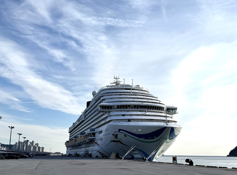 2026년 새해 첫 날, 아도라 크루즈 